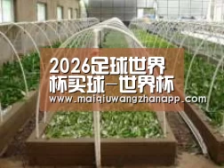 环境展示五