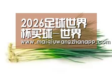产品名称二