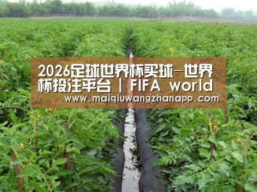 种植基地三