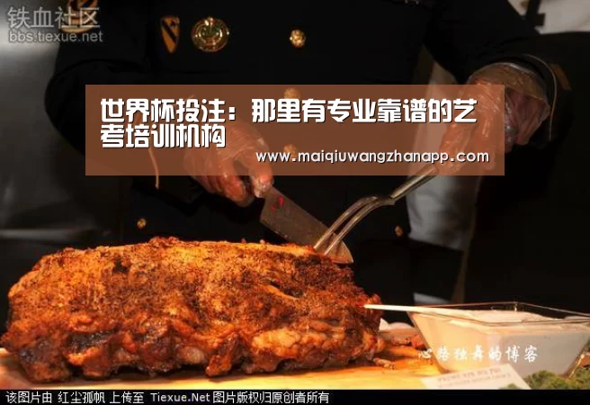 世界杯投注:那里有专业靠谱的艺考培训机构(图1) 世界杯买球网站官网