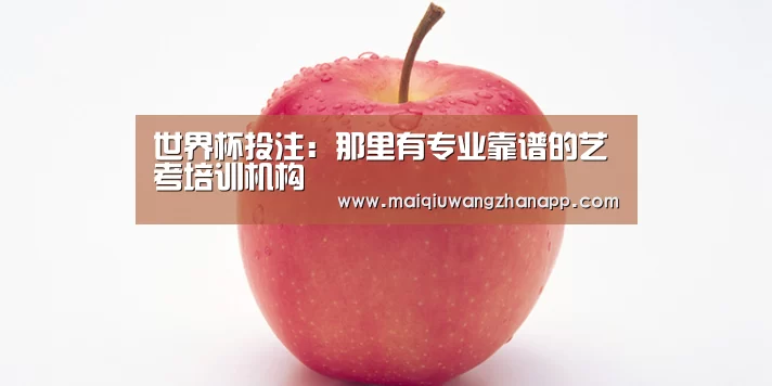 世界杯投注:那里有专业靠谱的艺考培训机构(图2) 世界杯投注