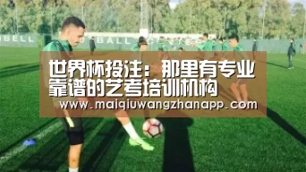 世界杯投注:那里有专业靠谱的艺考培训机构(图3) 世界杯外围买球
