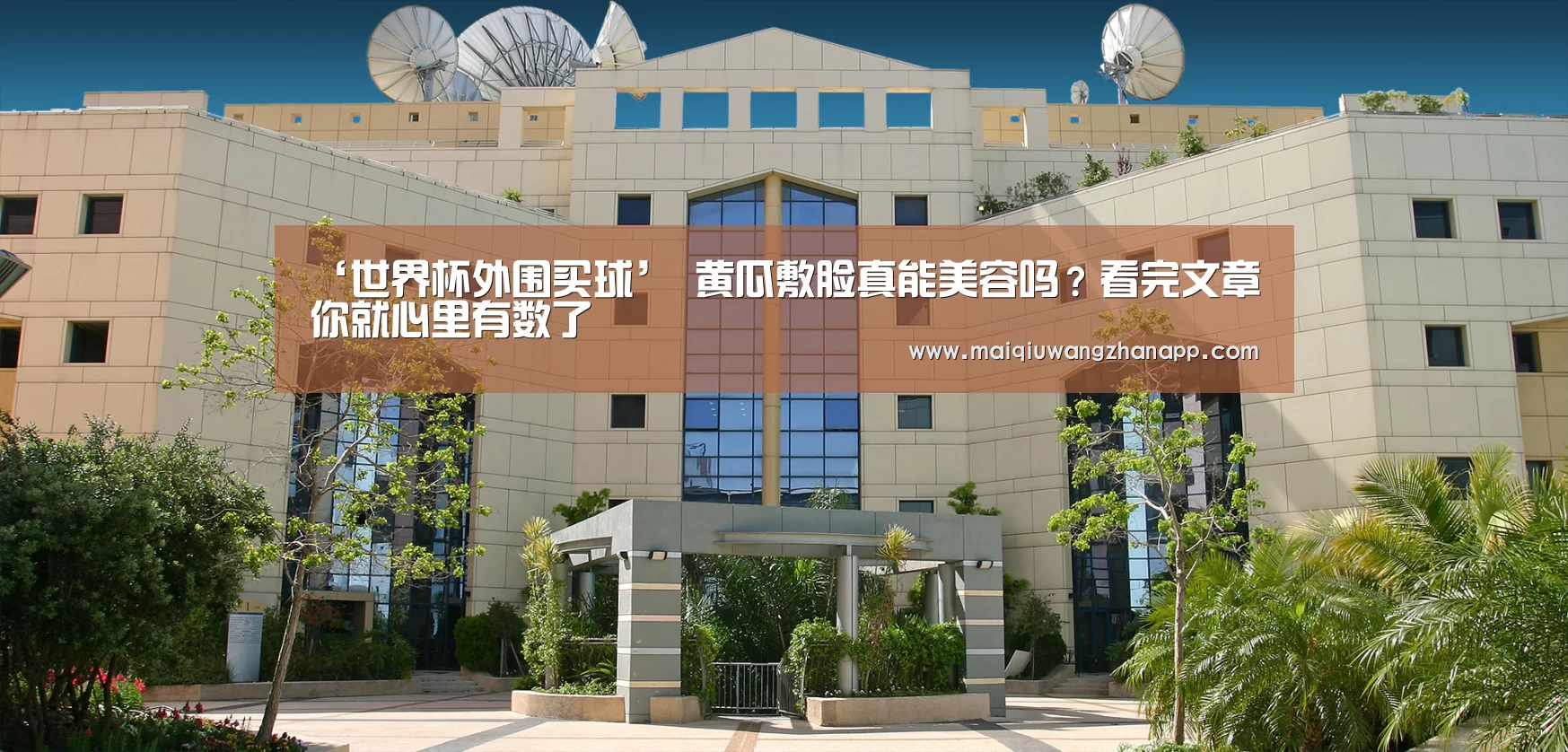 ‘世界杯外围买球’
黄瓜敷脸真能美容吗?看完文章 你就心里有数了(图1) 世界杯买球网站官网