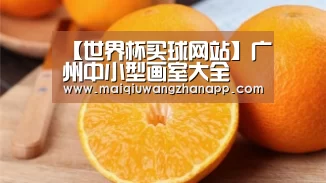 【世界杯买球网站】广州中小型画室大全(图1) 世界杯买球网站官网