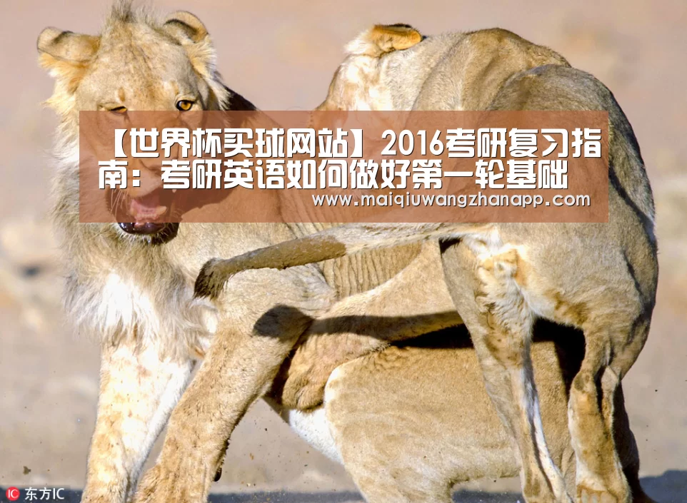 【世界杯买球网站】2016考研复习指南:考研英语如何做好第一轮基础复习(图2) 世界杯买球网站
