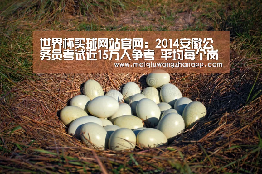 世界杯买球网站官网:2014安徽公务员考试近15万人争考 平均每个岗位28人竞争(图3) 世界杯投注