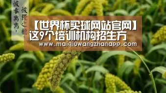 世界杯外围买球